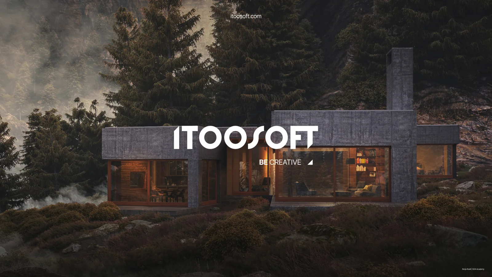 iToo Software in use