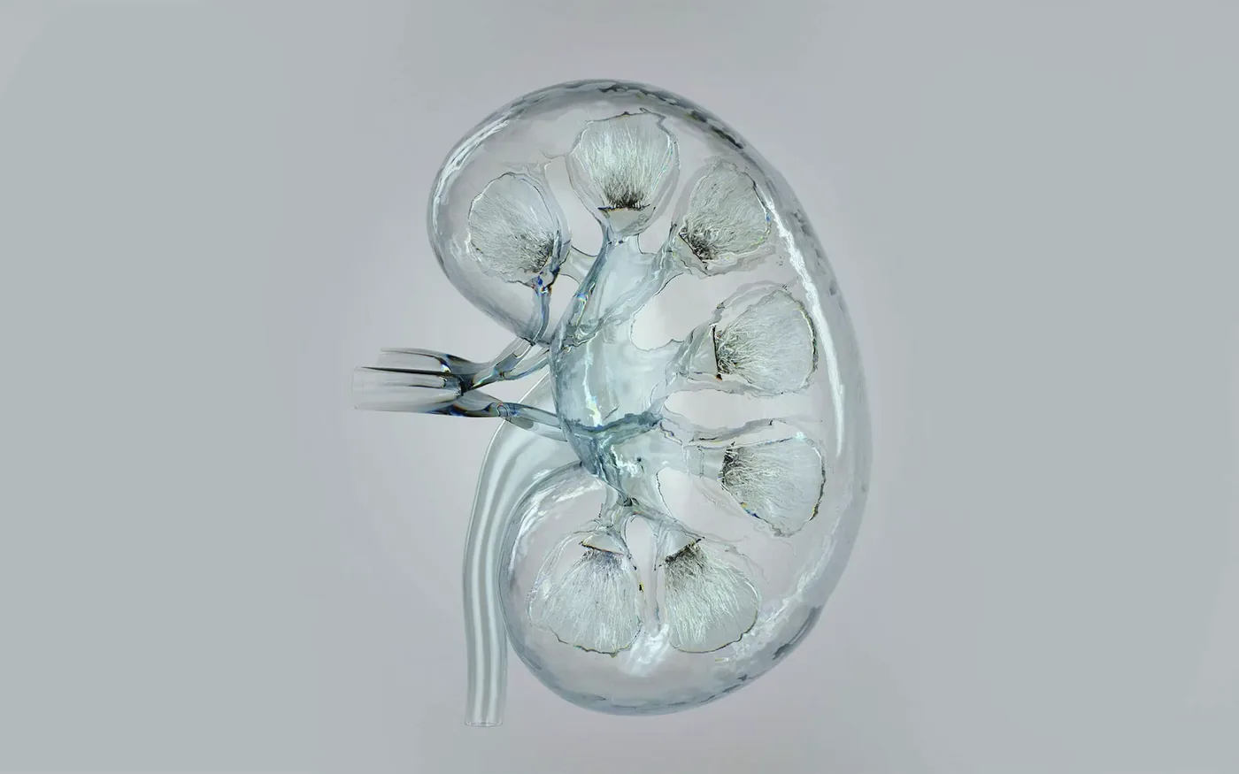 Maxon Cinema 4D 4