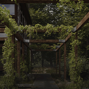 ForestPack 9 New Release - Storm FX