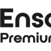 Enscape Premium - Storm FX