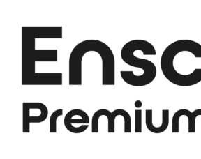Enscape Premium - Storm FX